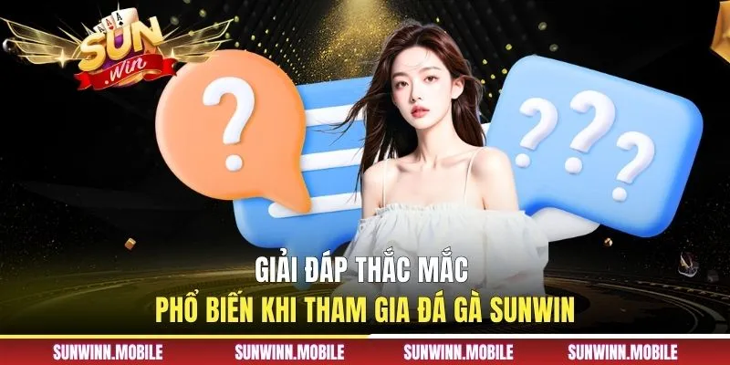 Giải đáp thắc mắc phổ biến khi tham gia đá gà Sunwin 